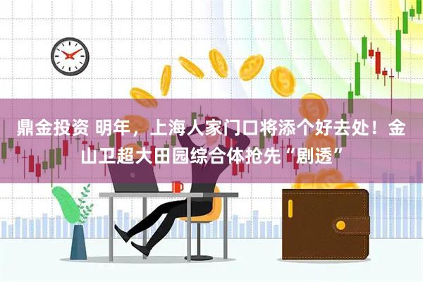 鼎金投资 明年，上海人家门口将添个好去处！金山卫超大田园综合体抢先“剧透”