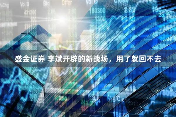 盛金证券 李斌开辟的新战场，用了就回不去