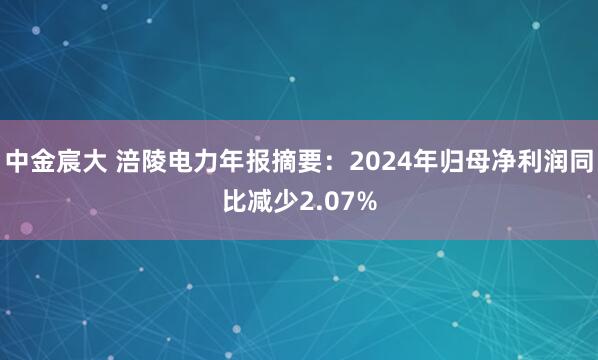 中金宸大 涪陵电力年报摘要：2024年归母净利润同比减少2.07%
