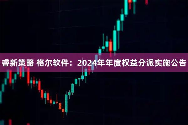 睿新策略 格尔软件：2024年年度权益分派实施公告